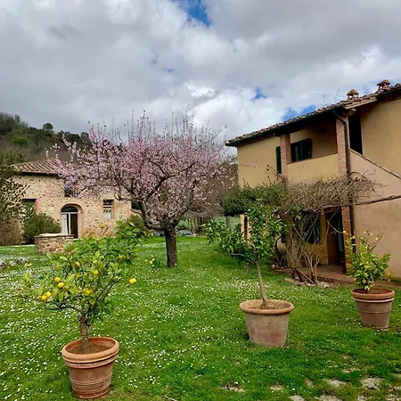 Podere Campalfi, Large شقة