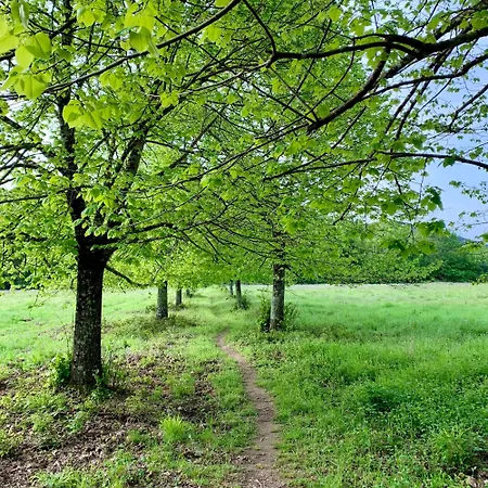 شقة Podere Campalfi, Large