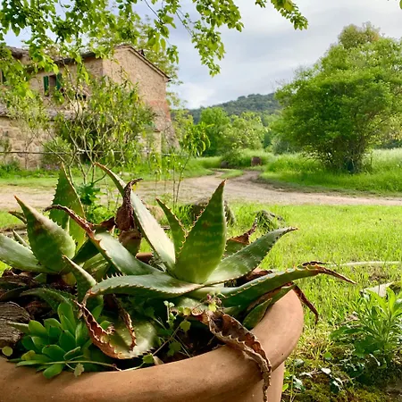 Podere Campalfi, Large Stigliano (Tuscany)